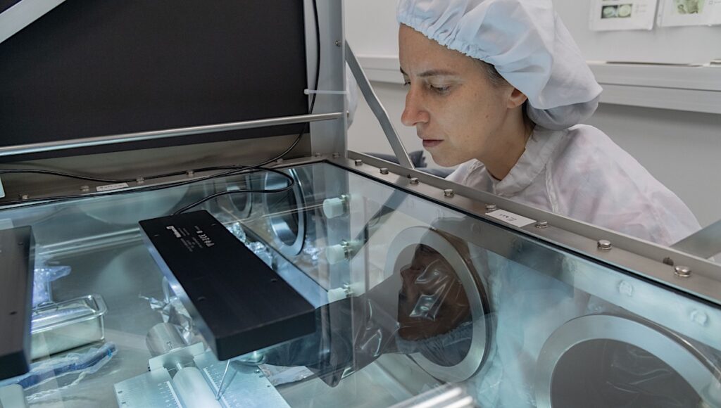 Meet Dr. Juliane Gross, Artemis Campaign Sample Curation Lead